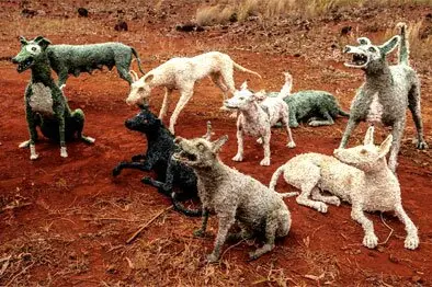 Wild Dogs - Sue Ryan