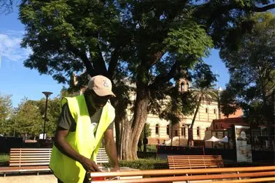 Sound artist Curtis Taylor preparing to install the audio equipment in the tree behind him