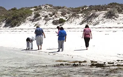 Artists collection items for the workshop
