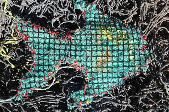 This is a Fish made from rubbish collected on the beaches west of Ceduna in the Great Australian Bight by the Rangers from Natural Resources Alinytjara Wilurara based at Yalata.